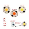 220V 5W Power Led Board Modul IP65 Y27 6000-6500K Alb 220V 5W Power Led Board Modul IP65 Y27 6000-6500K Alb